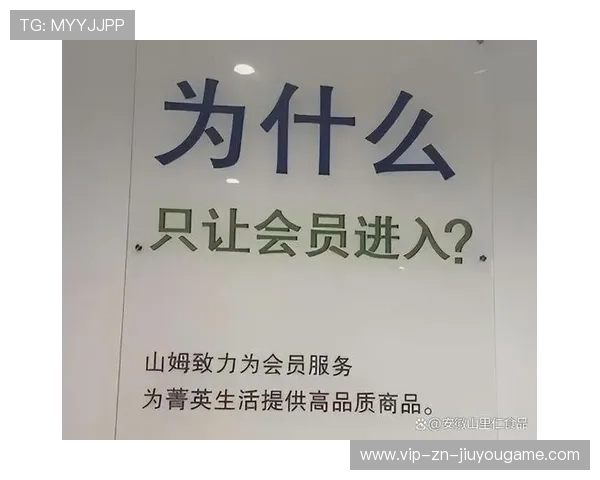 付费模式：会员制与道具经济对平台收入结构的影响，付费会员制电商平台有哪些